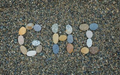 Czym się różni gravel od szosy podczas codziennej jazdy?