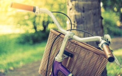 Jaki bagażnik rowerowy pod sakwy wybrać do długiej wyprawy?