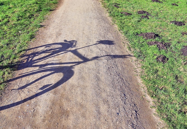 Rower cross czy gravel – co wybrać na codzienne trasy?