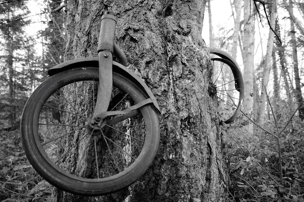 rower romet rambler r94 grafitowy 20 l