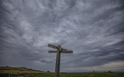 Storm czy Kross na jaki rower warto się zdecydować?