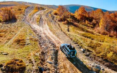 Czym się różni gravel od przełaj i który rower wybrać?