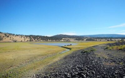 Gravel czy przełaj który rower sprawdzi się lepiej na codzienne trasy?