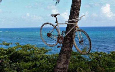 Ile cali rower na komunie będzie odpowiedni dla dziecka?