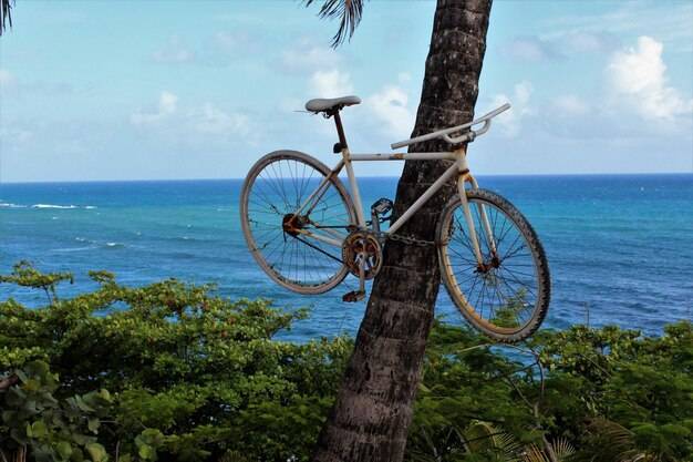 Ile cali rower na komunie będzie odpowiedni dla dziecka?