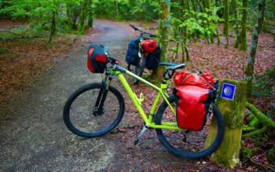 Który bagażnik rowerowy lepszy na dalekie trasy?