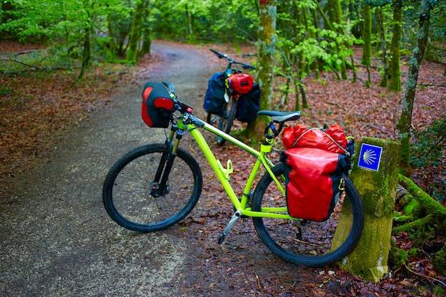 Który bagażnik rowerowy lepszy na dalekie trasy?