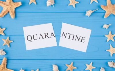 Marin Four Corners jaki rozmiar ramy wybrać?