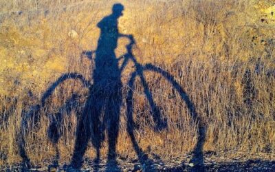 Na czym polega wyjątkowość roweru co motion gravel bike?