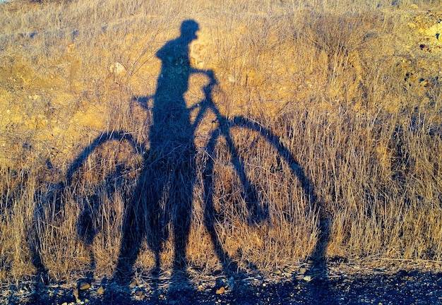 Na czym polega wyjątkowość roweru co motion gravel bike?