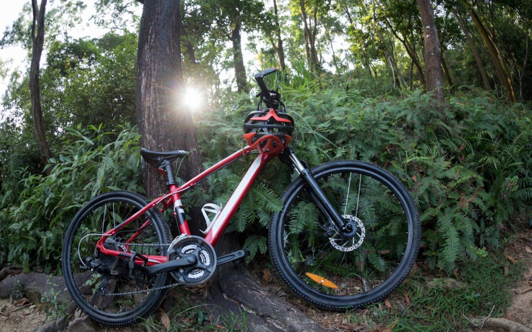 Jaki rower na Green Velo sprawdzi się podczas długiej trasy?