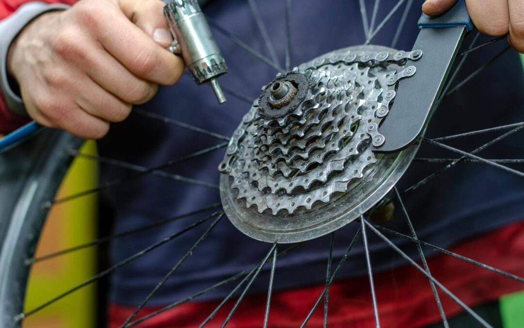 Jak wyregulować przerzutki Shimano Nexus w rowerze?